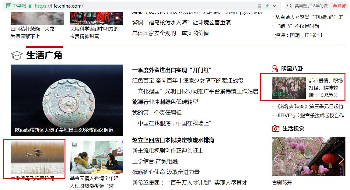 中华网生活首页图片推荐